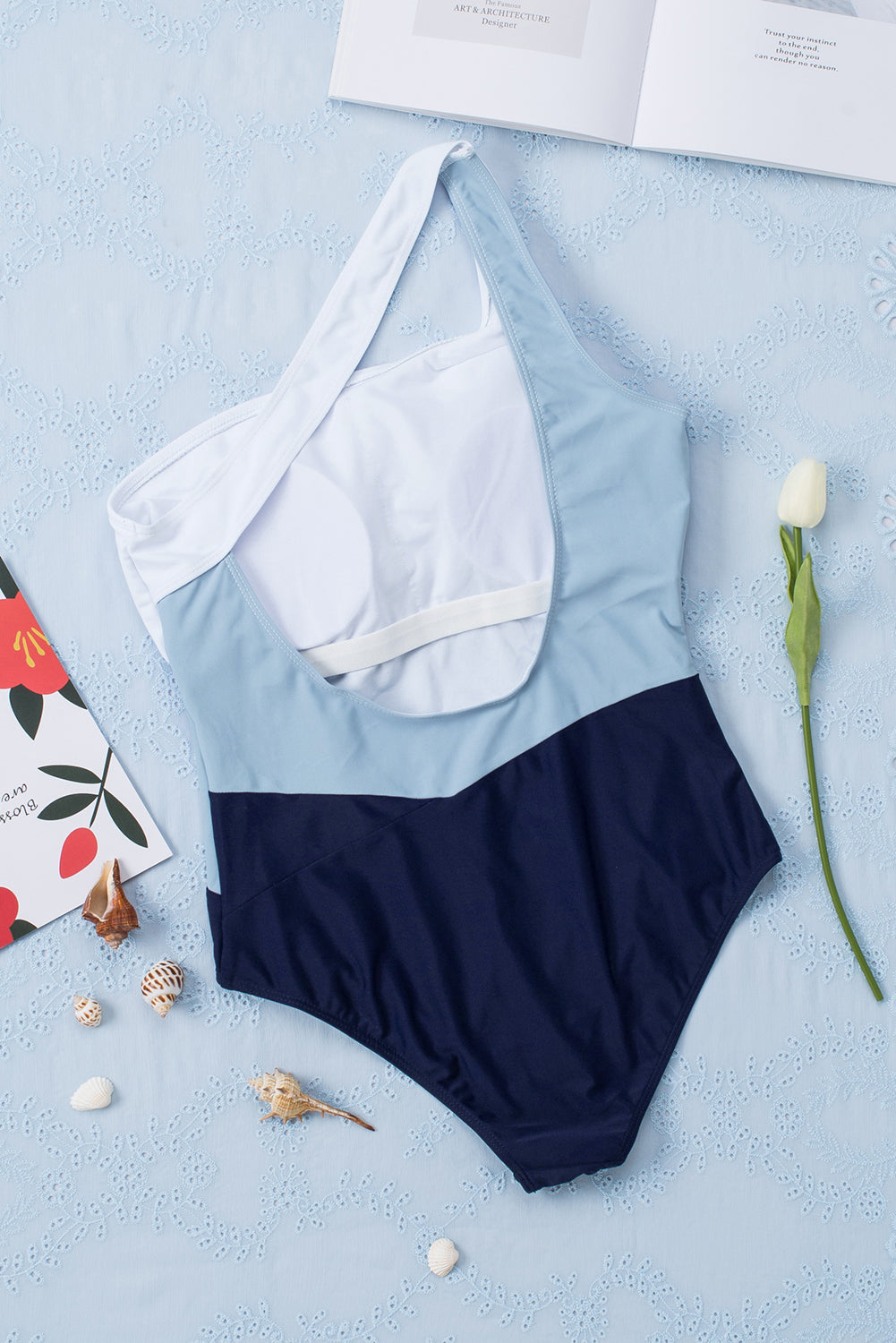 Ashleigh Colour-Block Asymmetric One-piece Swimsuit