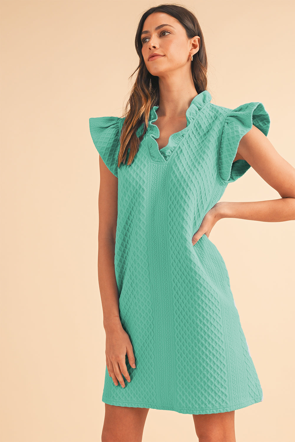 Ira Textured Ruffle V-Neck Mini Dress